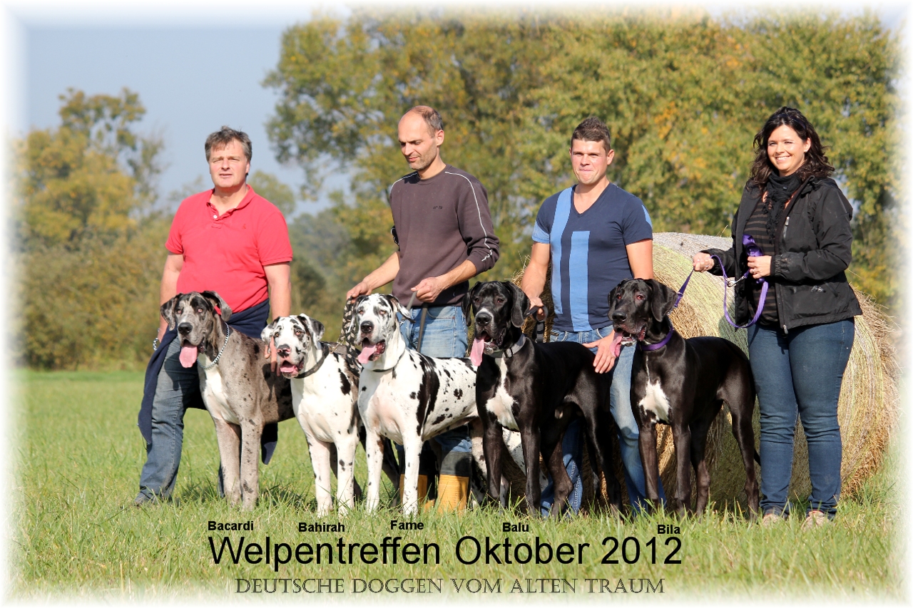 B-Wurf Oktober 2012